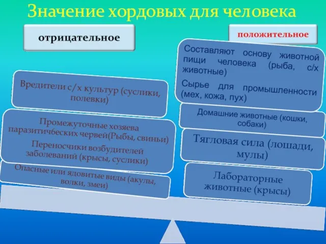 Значение хордовых для человека