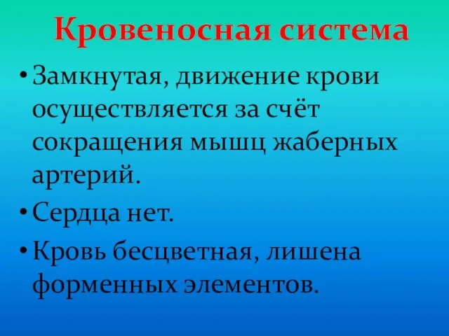 Кровеносная система Замкнутая, движение крови осуществляется за счёт сокращения мышц