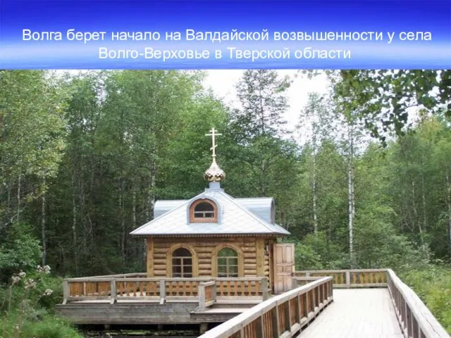 Волга берет начало на Валдайской возвышенности у села Волго-Верховье в Тверской области