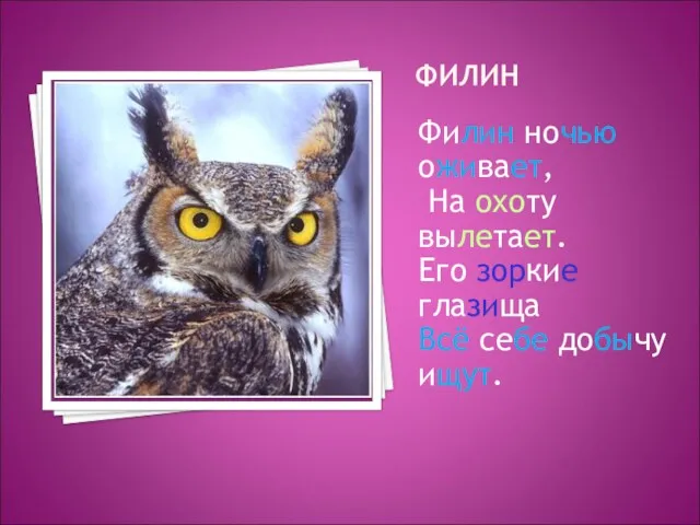 ФИЛИН Филин ночью оживает, На охоту вылетает. Его зоркие глазища Всё себе добычу ищут.