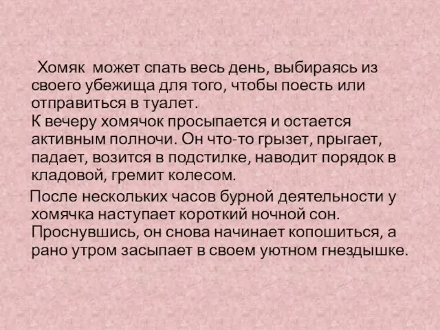 Хомяк может спать весь день, выбираясь из своего убежища для