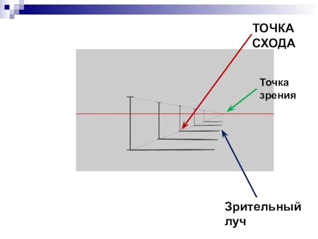 ТОЧКА СХОДА Точка зрения Зрительный луч