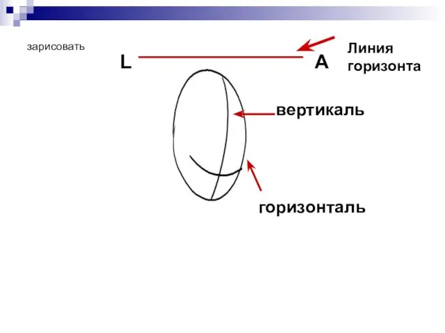 L A вертикаль горизонталь Линия горизонта зарисовать