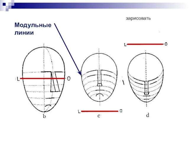 Модульные линии зарисовать