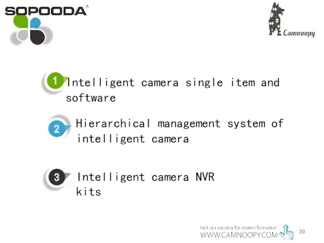 Hierarchical management system of intelligent camera Intelligent camera NVR kits Intelligent camera single item and software