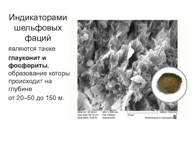 Индикаторами шельфовых фаций являются также глауконит и фосфориты, образование которых