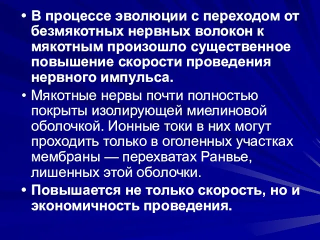 В процессе эволюции с переходом от безмякотных нервных волокон к