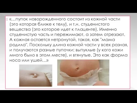 «…пупок новорожденного состоит из кожной части (это которая ближе к