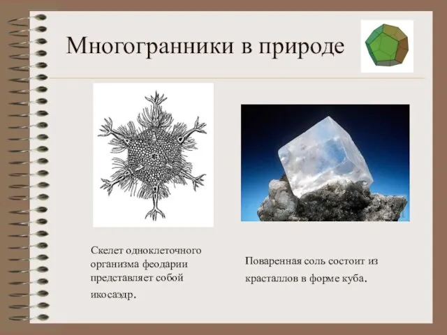 Многогранники в природе Поваренная соль состоит из красталлов в форме куба. Скелет одноклеточного