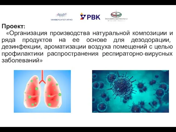 Проект: «Организация производства натуральной композиции и ряда продуктов на ее