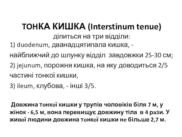 TOHКА КИШКА (Interstinum tenue) ділиться на три відділи: 1) duodenum,