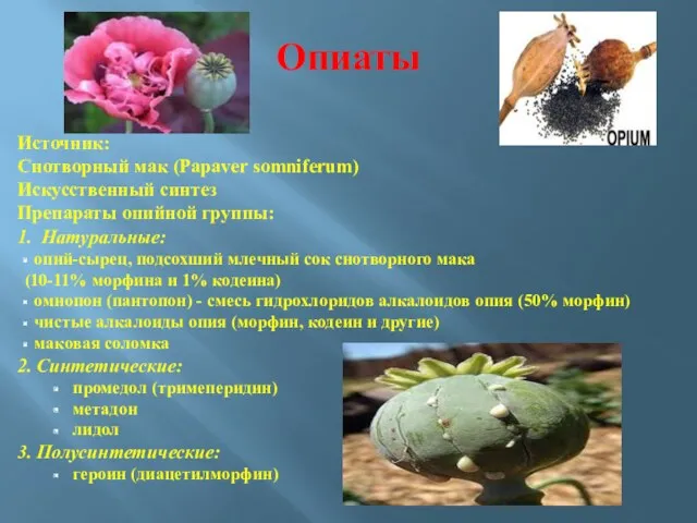 Опиаты Источник: Снотворный мак (Papaver somniferum) Искусственный синтез Препараты опийной