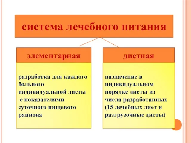 система лечебного питания элементарная диетная разработка для каждого больного индивидуальной диеты с показателями