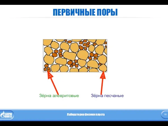 ПЕРВИЧНЫЕ ПОРЫ Зёрна алевритовые Зёрна песчаные