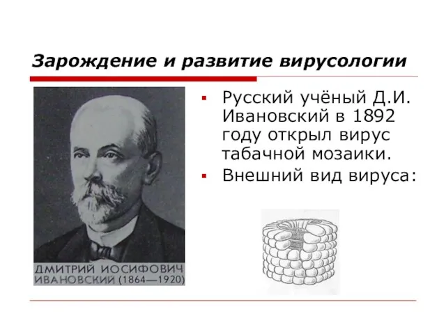 Зарождение и развитие вирусологии Русский учёный Д.И. Ивановский в 1892