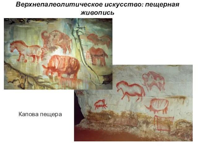 Верхнепалеолитическое искусство: пещерная живопись Капова пещера