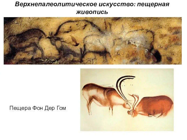 Верхнепалеолитическое искусство: пещерная живопись Пещера Фон Дер Гом