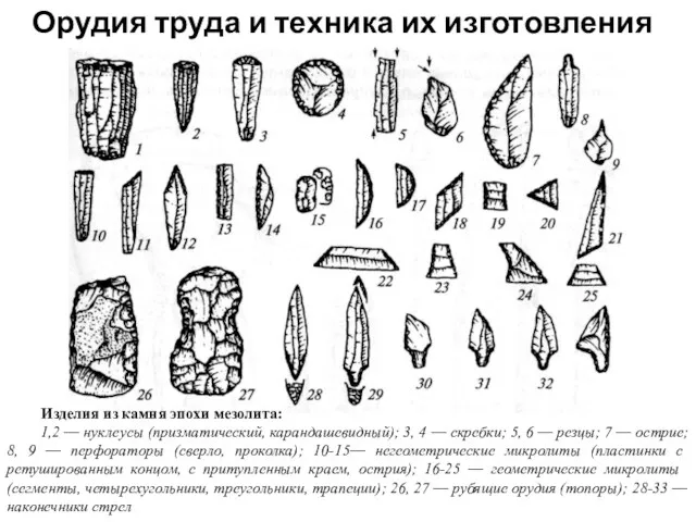 Орудия труда и техника их изготовления Изделия из камня эпохи мезолита: 1,2 —