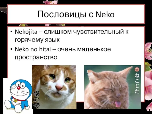 Пословицы с Neko Nekojita – слишком чувствительный к горячему язык