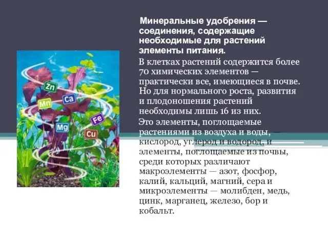 Минеральные удобрения — соединения, содержащие необходимые для растений элементы питания.