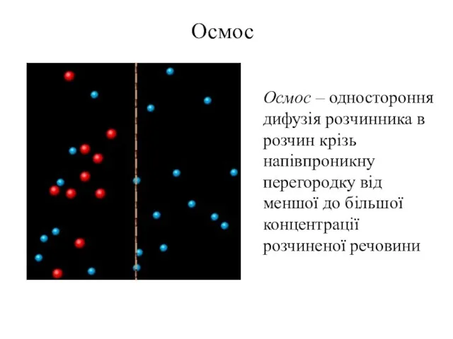 Осмос Осмос – одностороння дифузія розчинника в розчин крізь напівпроникну перегородку від меншої