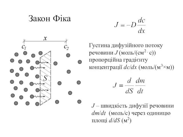 Закон Фіка J – швидкість дифузії речовини dm/dt (моль/с) через одиницю площі d/dS