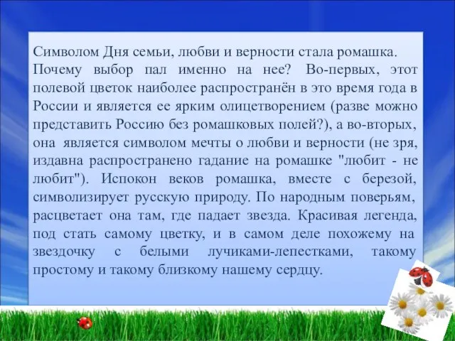 Символом Дня семьи, любви и верности стала ромашка. Почему выбор