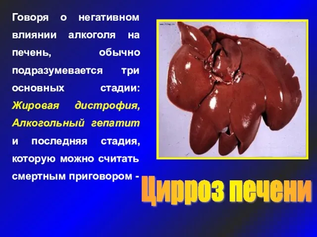 Говоря о негативном влиянии алкоголя на печень, обычно подразумевается три