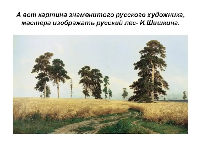 А вот картина знаменитого русского художника, мастера изображать русский лес- И.Шишкина.