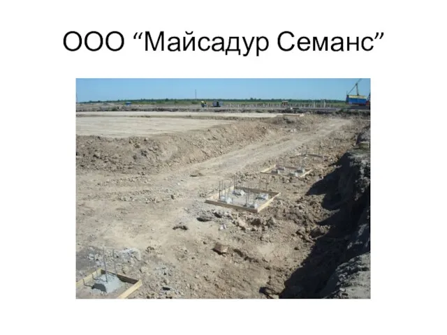 ООО “Майсадур Семанс”