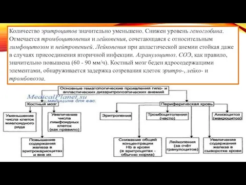 Количество эритроцитов значительно уменьшено. Снижен уровень гемоглобина. Отмечается тромбоцитопения и