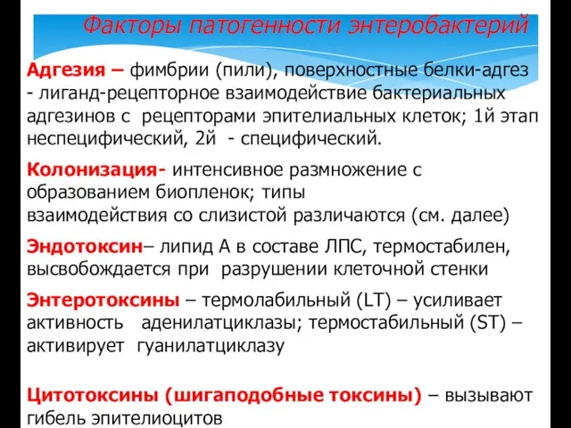 Факторы патогенности энтеробактерий Адгезия – фимбрии (пили), поверхностные белки-адгез - лиганд-рецепторное взаимодействие бактериальных