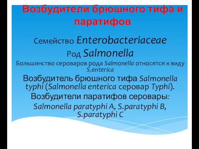 Возбудители брюшного тифа и паратифов Семейство Enterobacteriaceae Род Salmonella Большинство