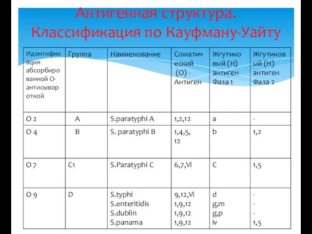 Антигенная структура. Классификация по Кауфману-Уайту