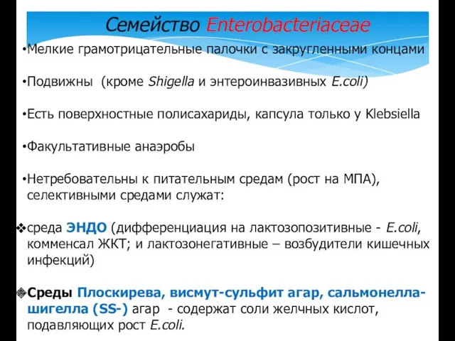 Семейство Enterobacteriaceae Мелкие грамотрицательные палочки с закругленными концами Подвижны (кроме