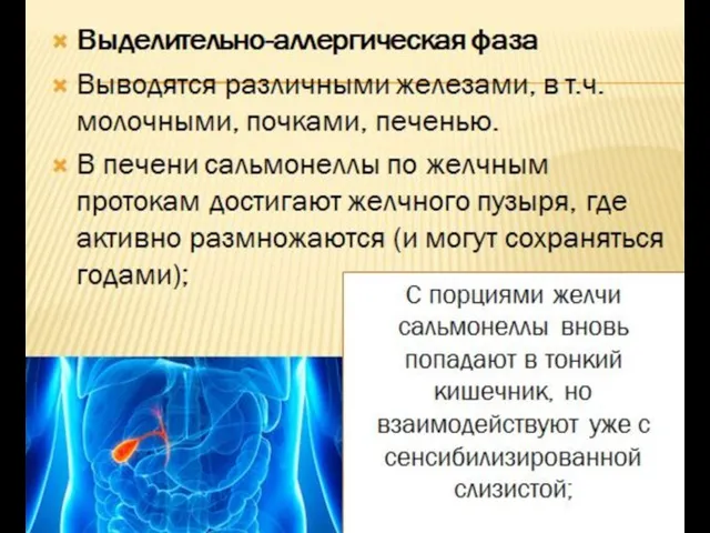 Оставшиеся сальмонеллы проникают в органы ретикуло-эндотелиальной системы, где клеточный иммунный ответ приведет к