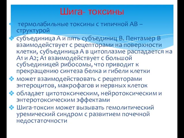 термолабильные токсины с типичной АВ – структурой субъединица А и пять субъединиц В.