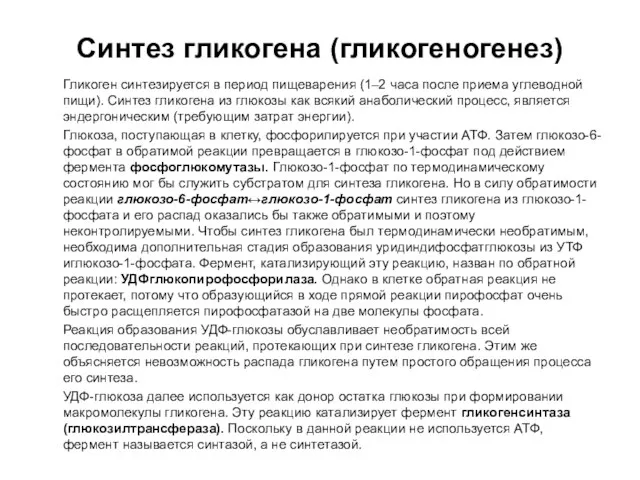 Синтез гликогена (гликогеногенез) Гликоген синтезируется в период пищеварения (1–2 часа