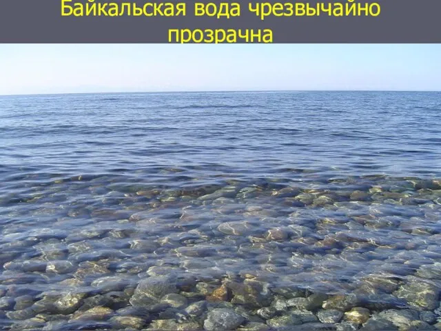 Байкальская вода чрезвычайно прозрачна