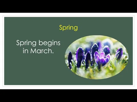 Spring Spring begins in March.