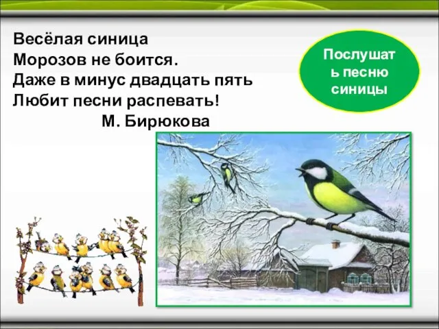 Весёлая синица Морозов не боится. Даже в минус двадцать пять