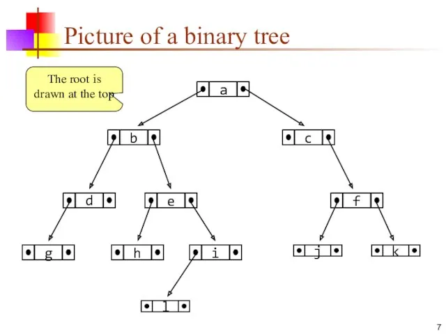 Picture of a binary tree The root is drawn at the top