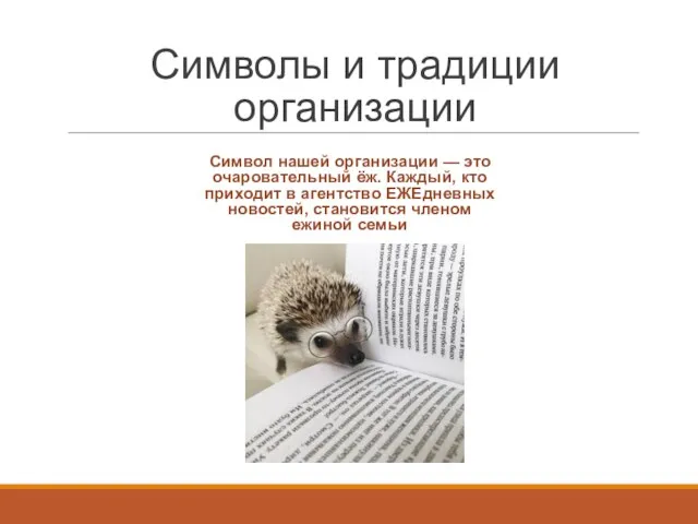 Символы и традиции организации Символ нашей организации — это очаровательный