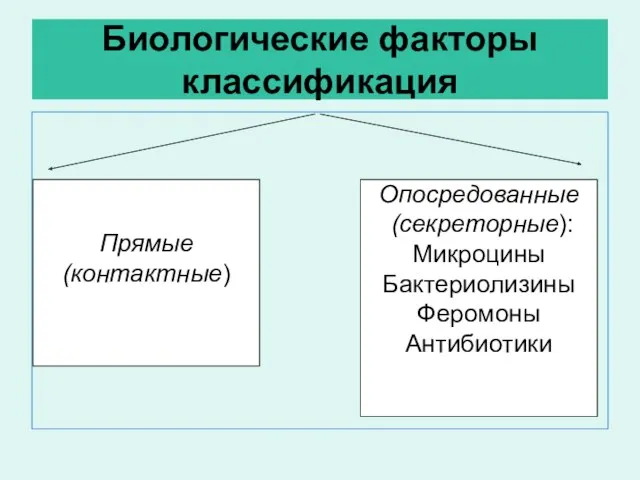 Биологические факторы классификация Прямые (контактные) Опосредованные (секреторные): Микроцины Бактериолизины Феромоны Антибиотики