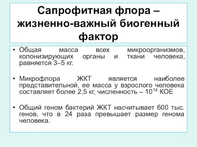 Сапрофитная флора – жизненно-важный биогенный фактор Общая масса всех микроорганизмов,