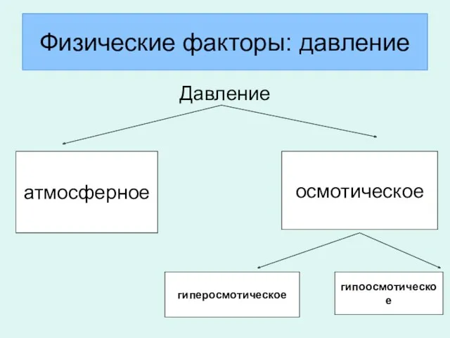 Физические факторы: давление Давление атмосферное осмотическое гиперосмотическое гипоосмотическое