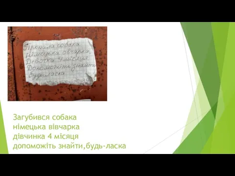 Загубився собака німецька вівчарка дівчинка 4 місяця допоможіть знайти,будь-ласка