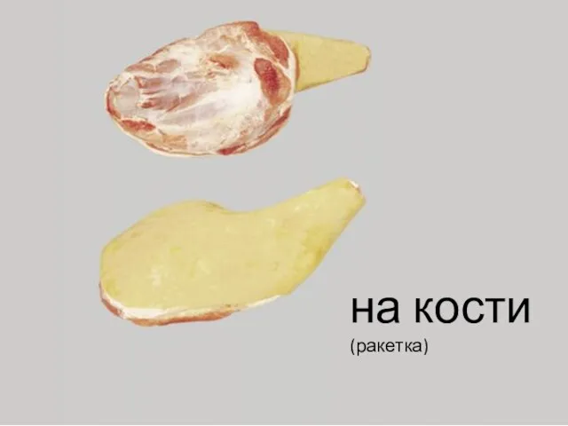 на кости (ракетка)