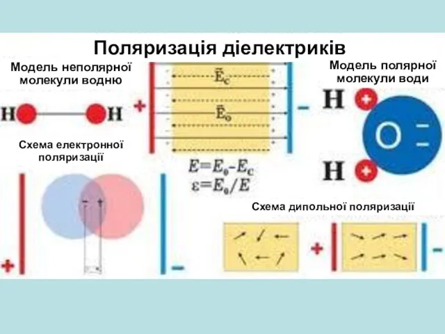 Поляризація діелектриків Модель неполярної молекули водню Модель полярної молекули води Схема електронної поляризації Схема дипольної поляризації