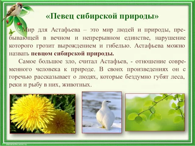 «Певец сибирской природы» Мир для Астафьева – это мир людей
